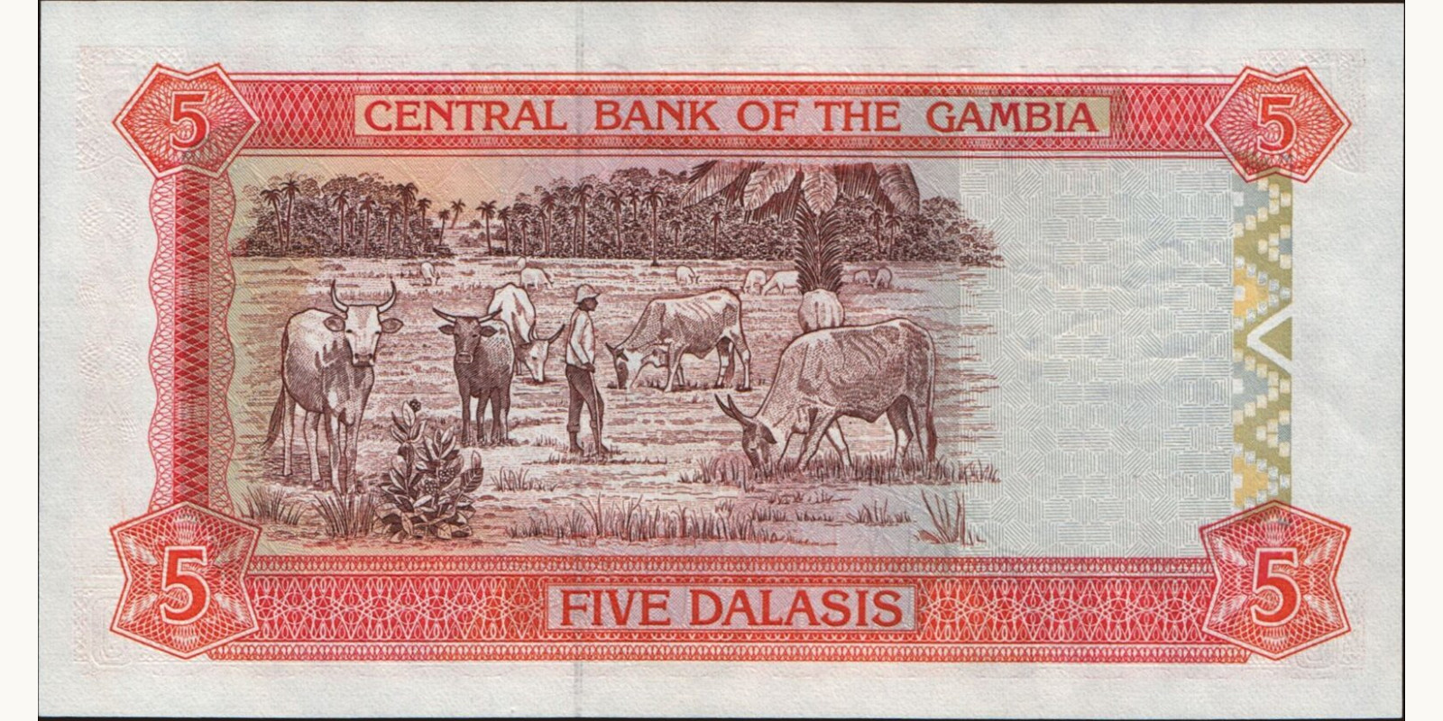 5 dalasis Gambia 2001 — Back side