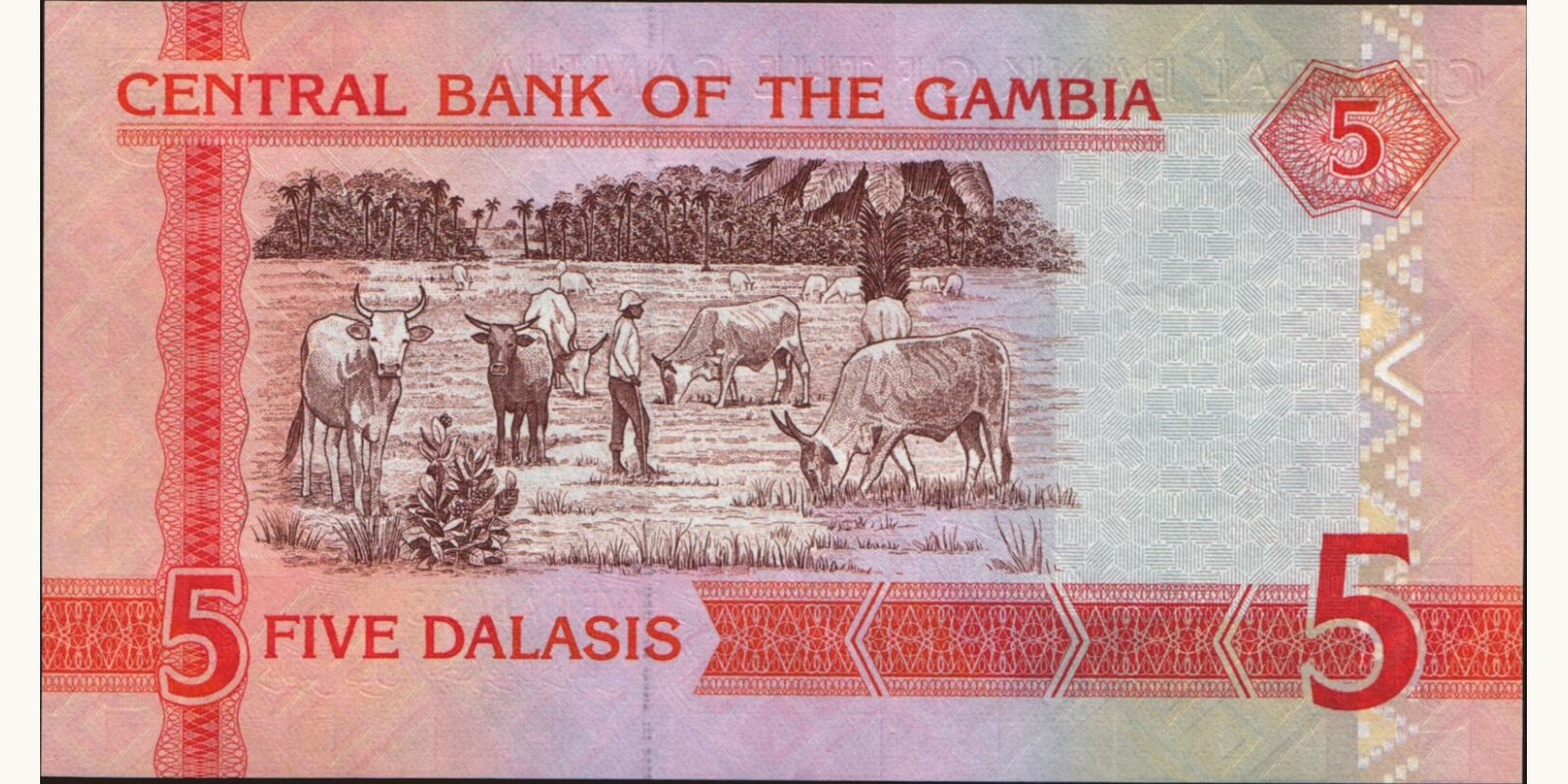 5 dalasis Гамбия 2006 — Оборотная сторона