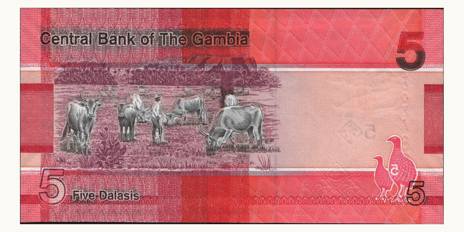 5 dalasis Гамбия 2019 — Оборотная сторона