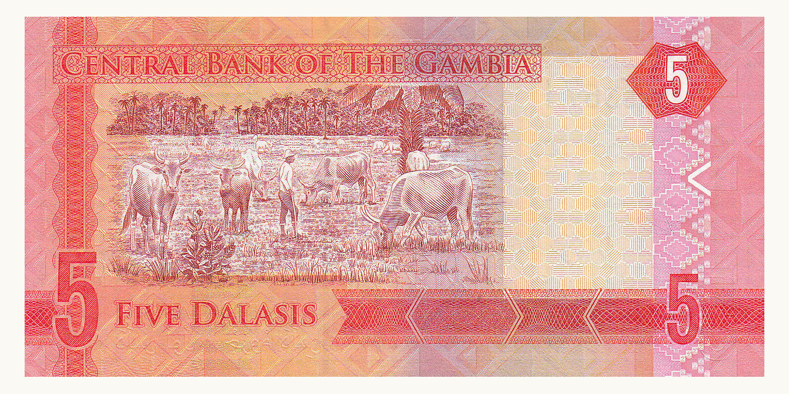 5 dalasis Гамбия 2015 — Оборотная сторона