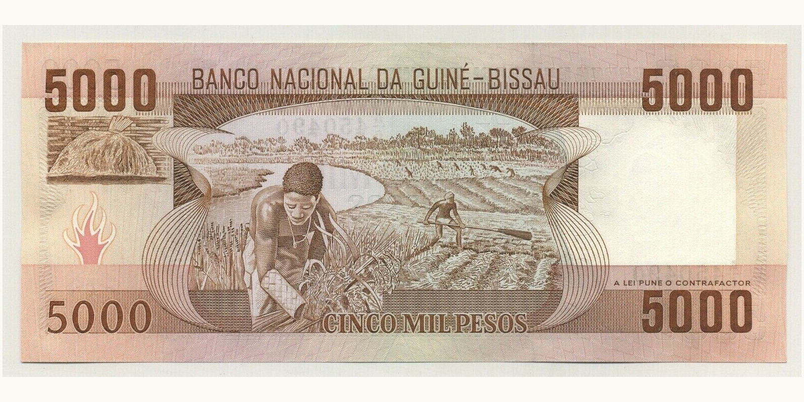 5000 Pesos Гвинея-Бисау 1984 — Оборотная сторона