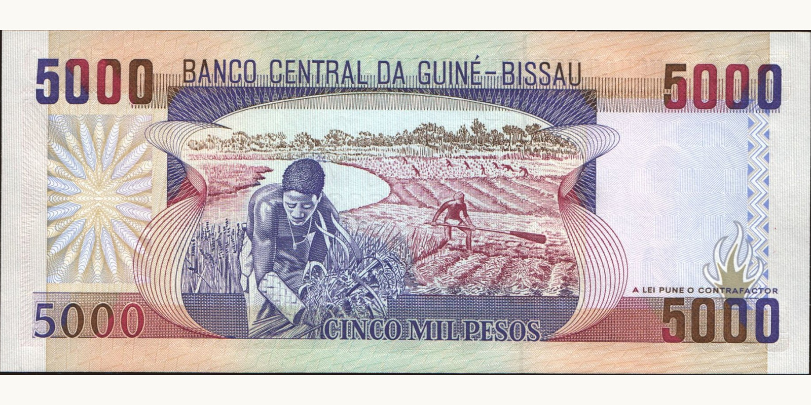 5000 pesos Гвинея-Бисау 1990 — Оборотная сторона