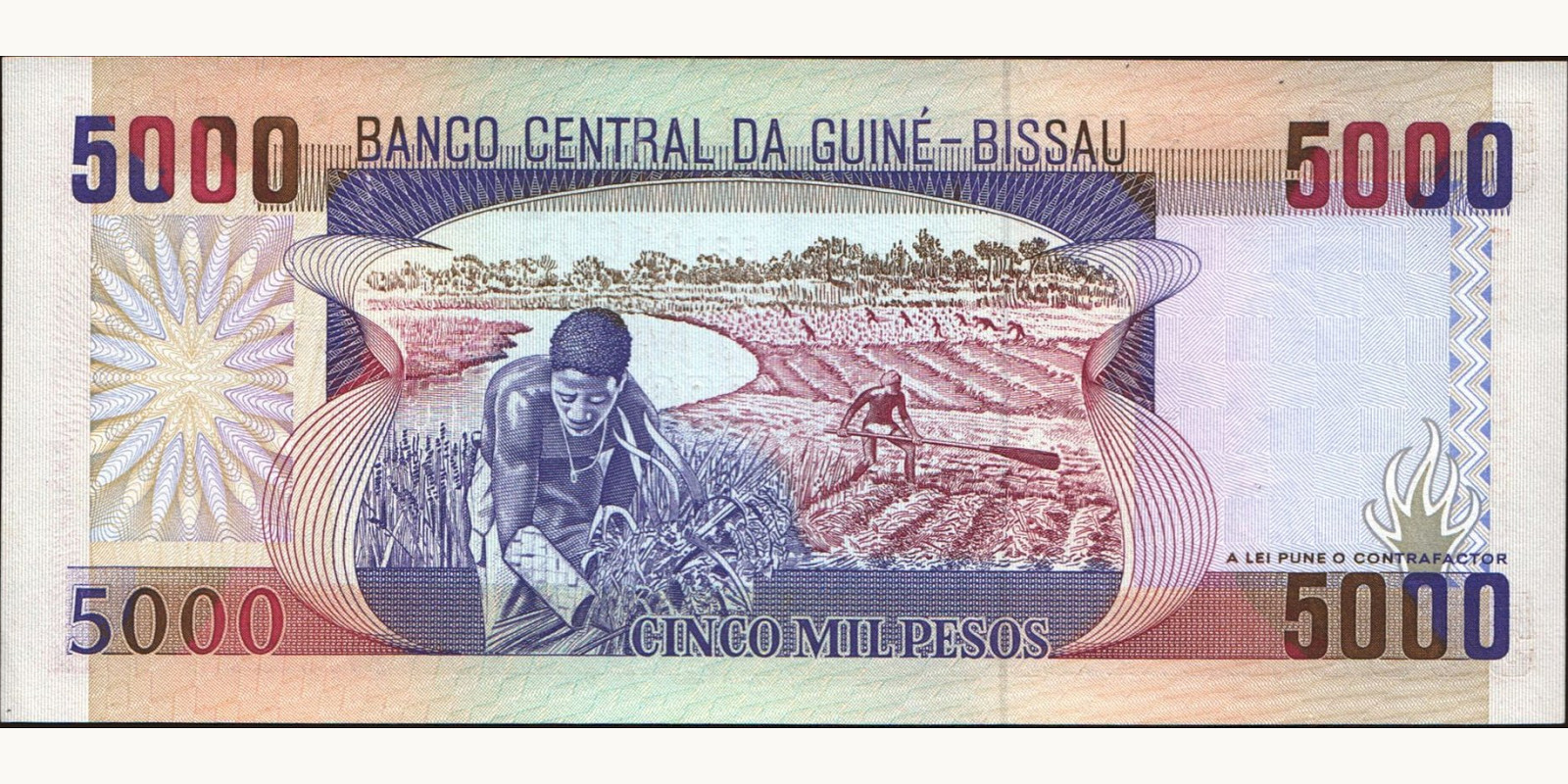 5000 pesos Гвинея-Бисау 1993 — Оборотная сторона