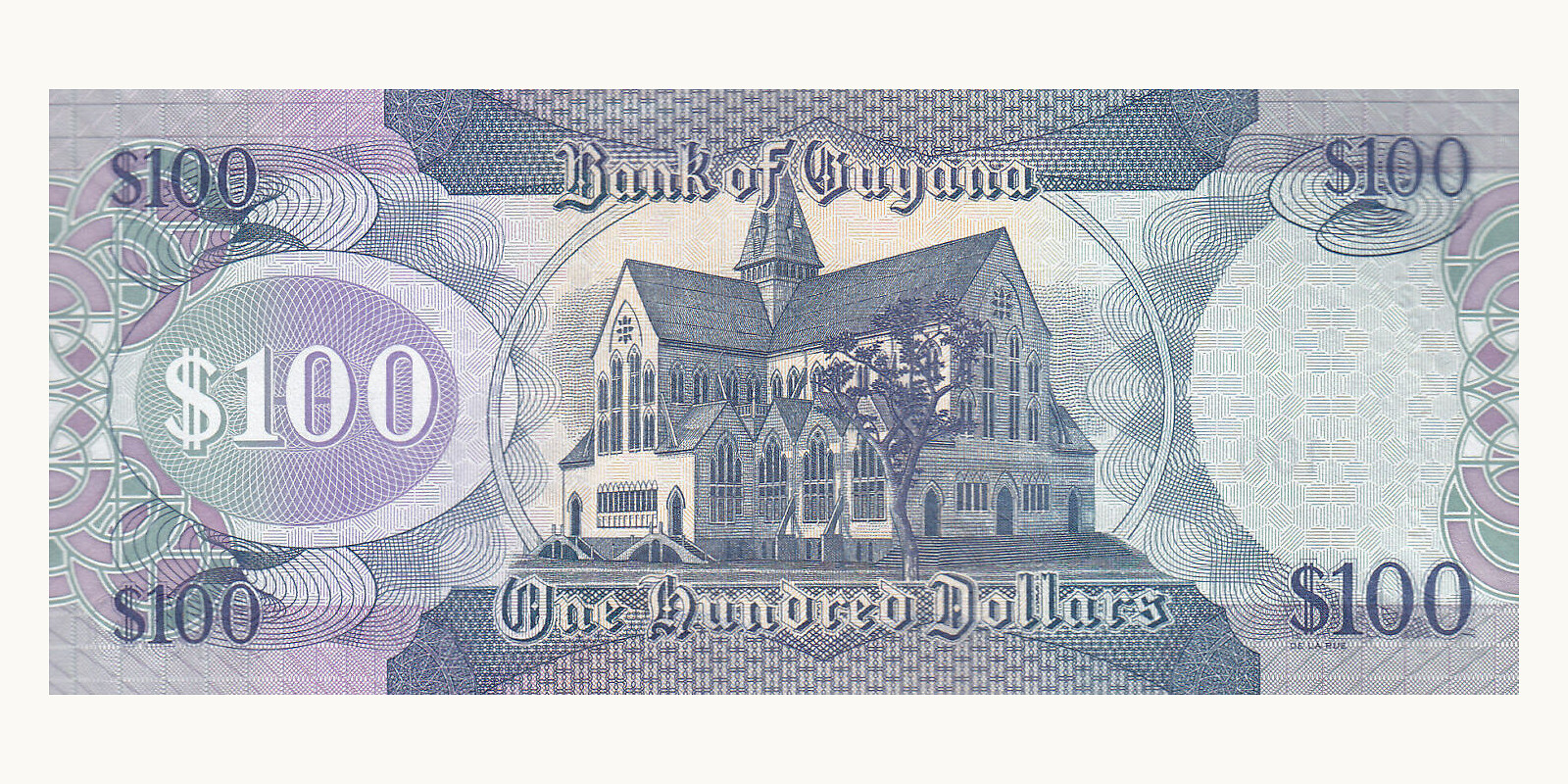 100 dollar Гайана 2022 — Оборотная сторона