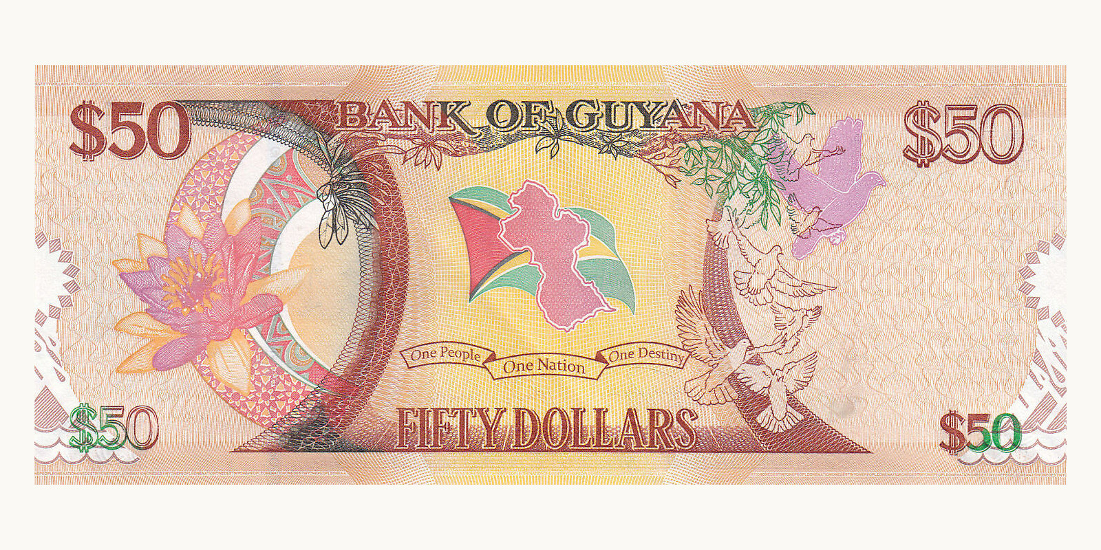 50 dollar Гайана 2016 — Оборотная сторона