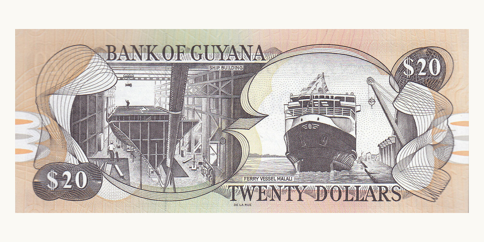 20 dollar Гайана 1996 — Оборотная сторона