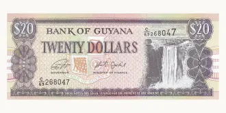 20 dollar 1996