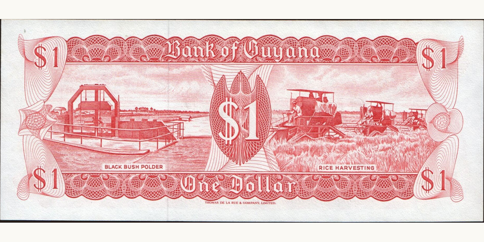 1 dollars Гайана 1989 — Оборотная сторона