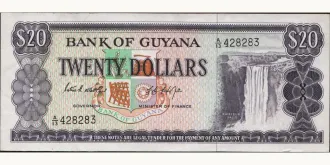 20 dollars 1966