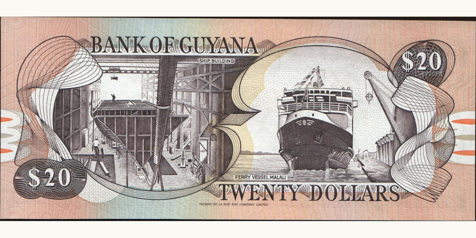 20 dollars Гайана 1989 — Оборотная сторона