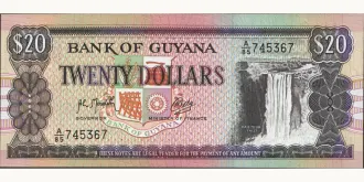 20 dollars 1989