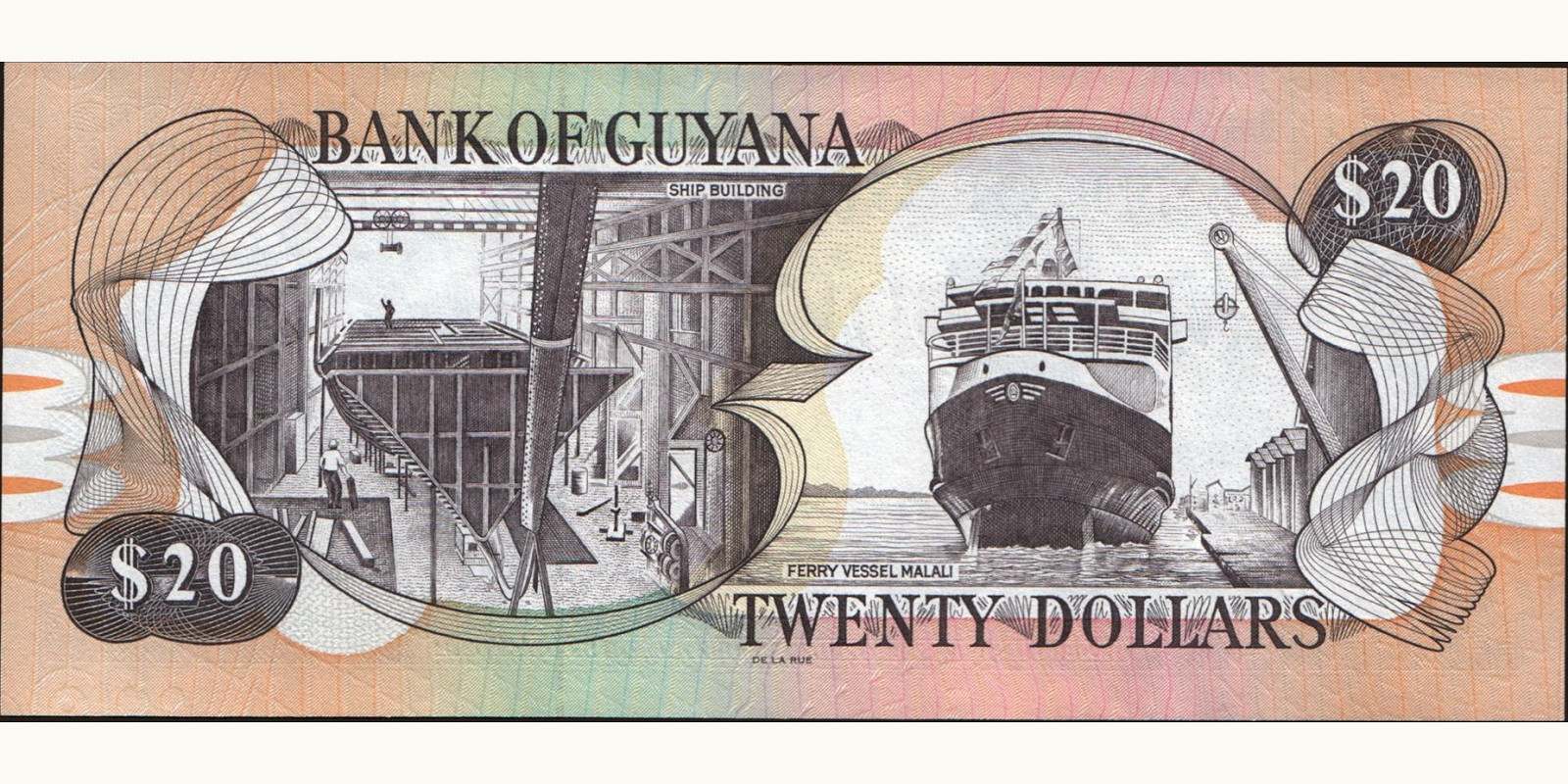 20 dollars Гайана 2016 — Оборотная сторона