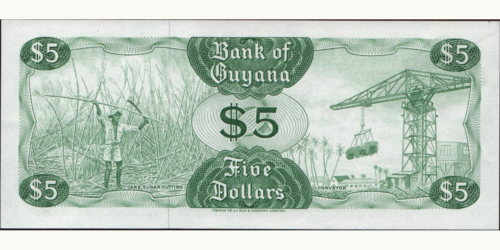 5 dollars Гайана 1983 — Оборотная сторона