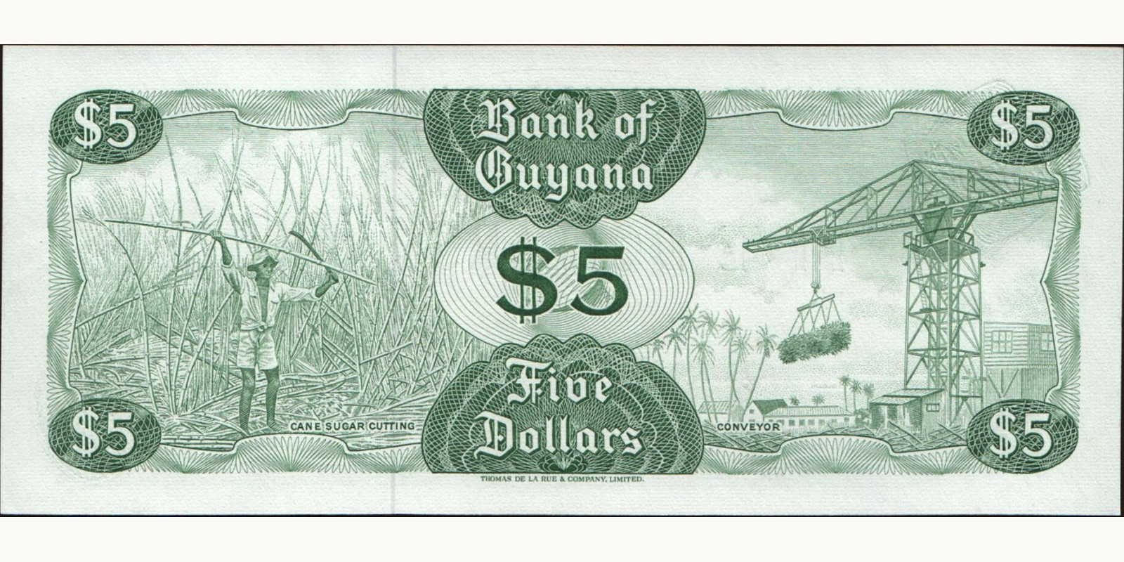 5 dollars Гайана 1989 — Оборотная сторона