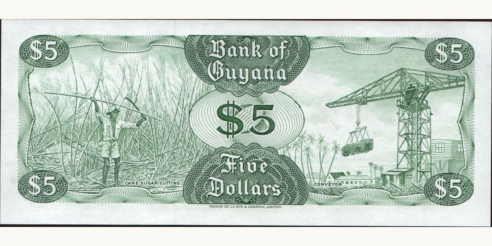 5 dollars Гайана 1992 — Оборотная сторона