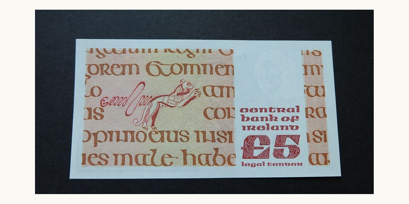 5 pounds Ирландия 1981 — Оборотная сторона