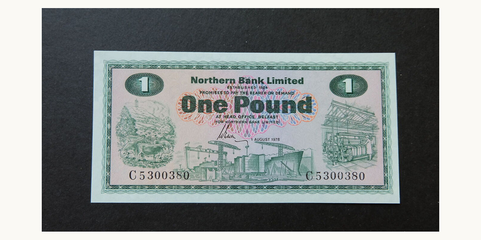 1 pound Ирландия 1978 — Лицевая сторона