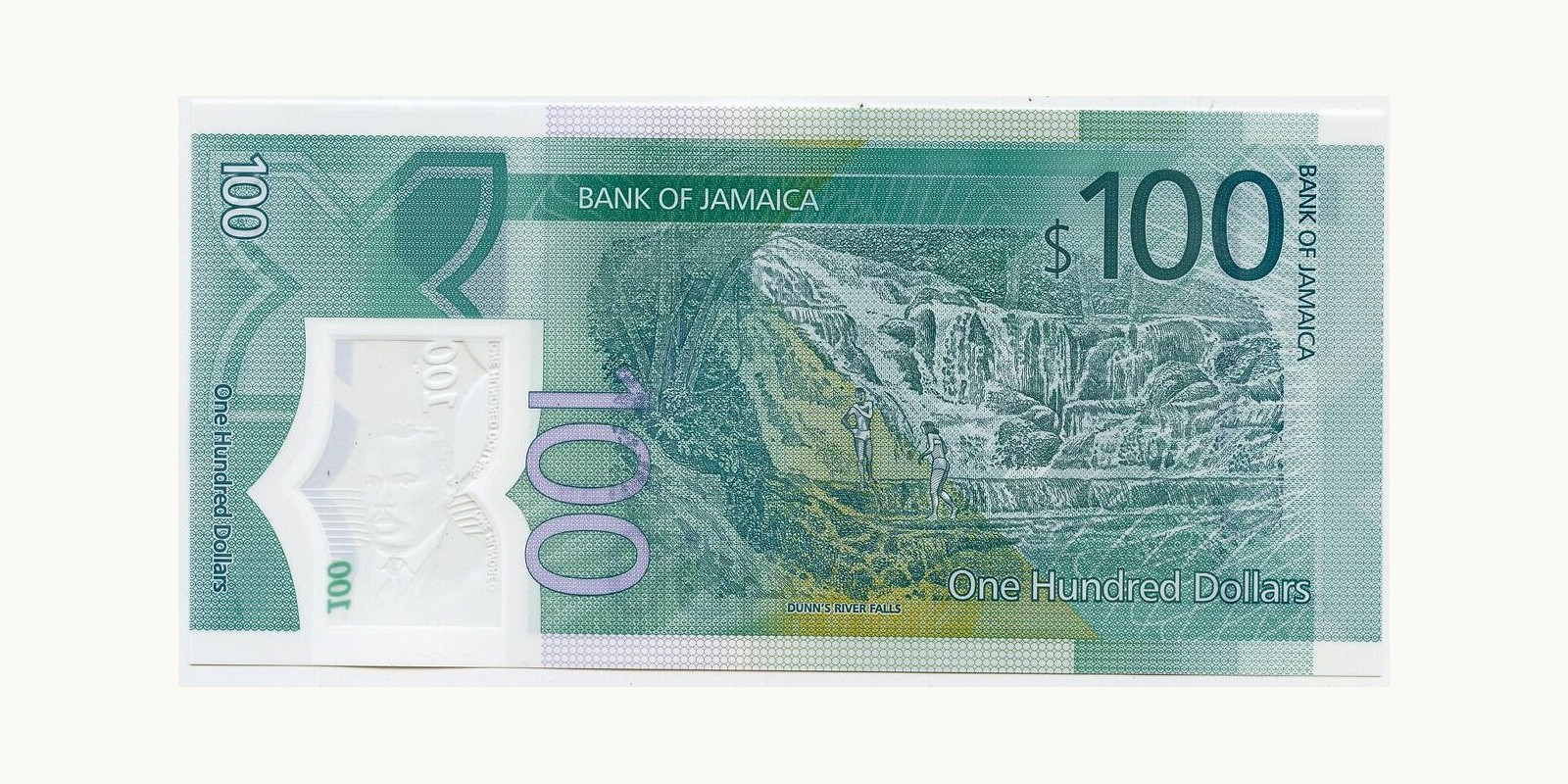 100 dollars Ямайка 2022 — Оборотная сторона