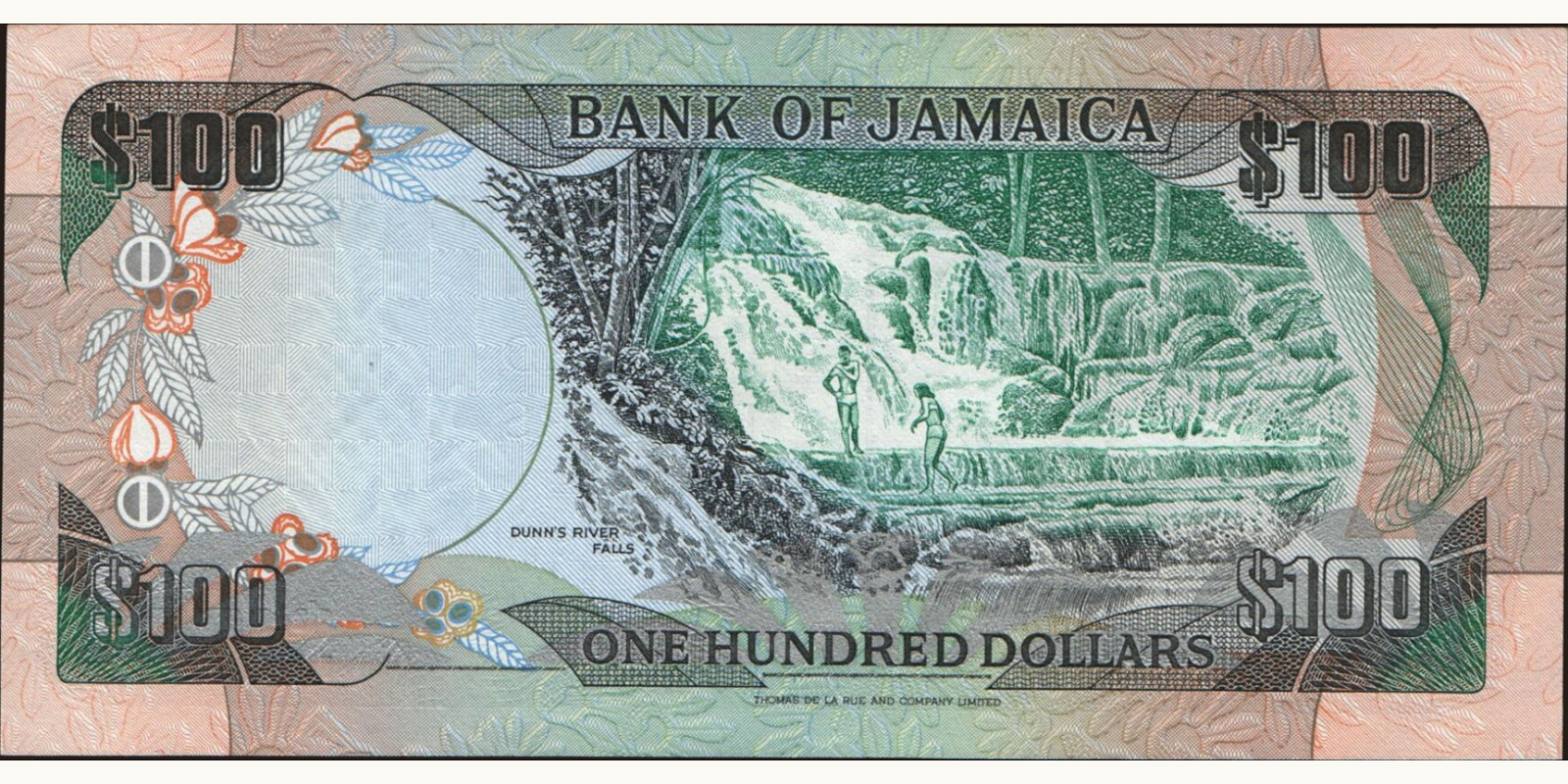 100 dollars Ямайка 1991 — Оборотная сторона