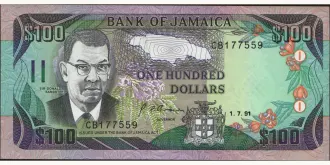 100 dollars 1991