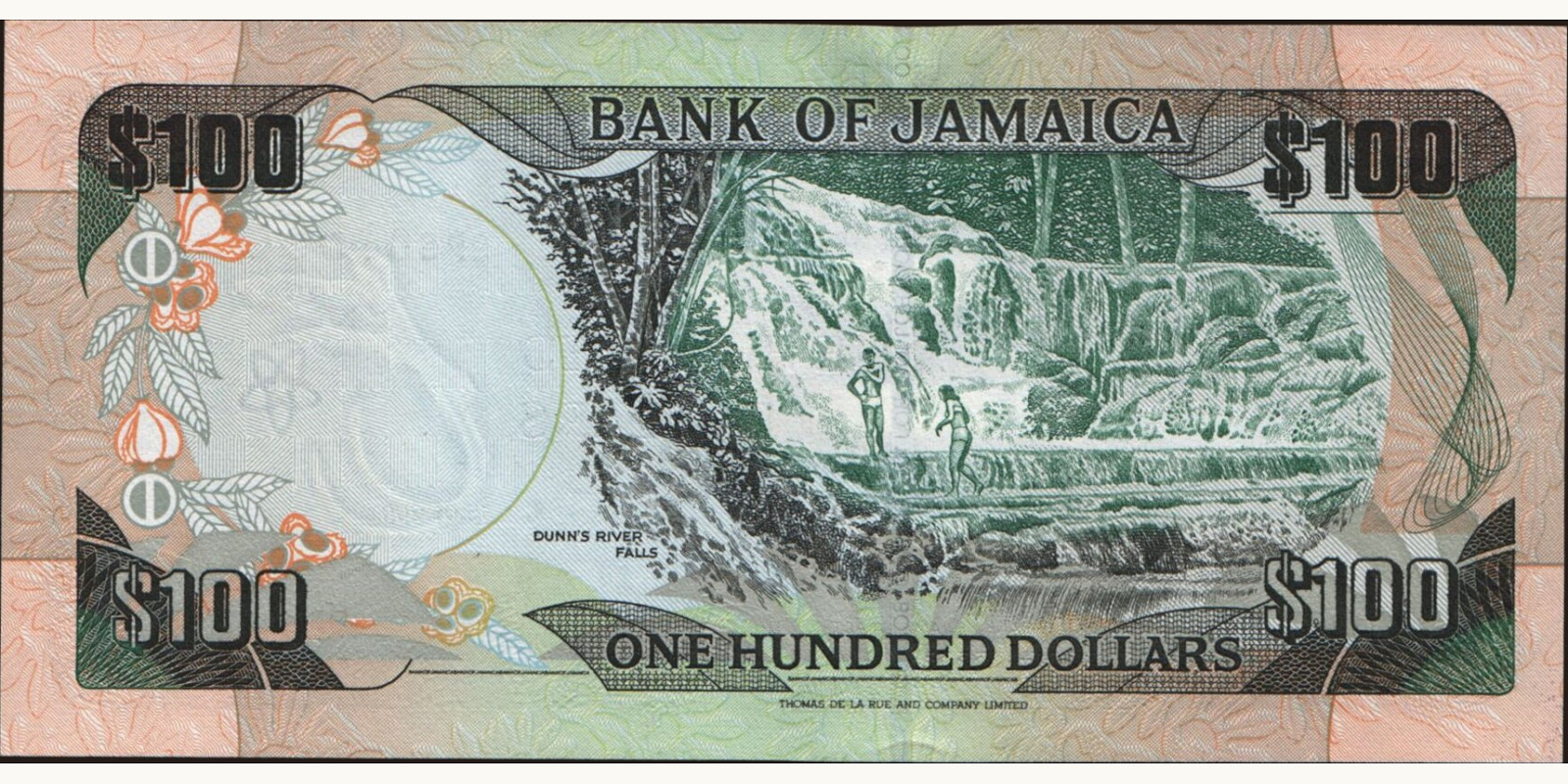 100 dollars Jamaica 2002 — Back side