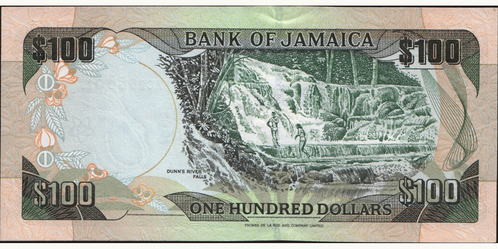 100 dollars Jamaica 2004 — Back side
