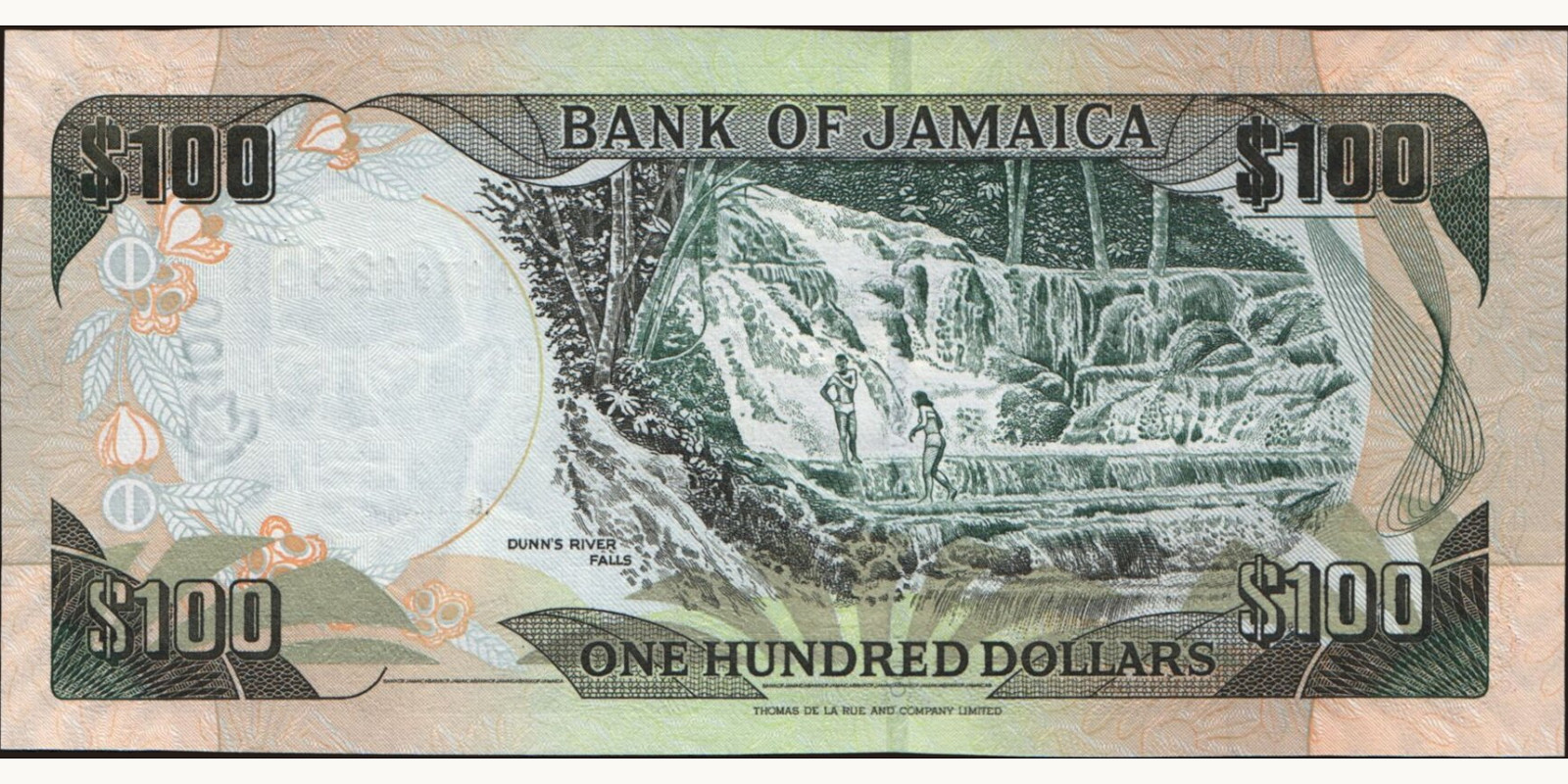100 dollars Jamaica 2006 — Back side