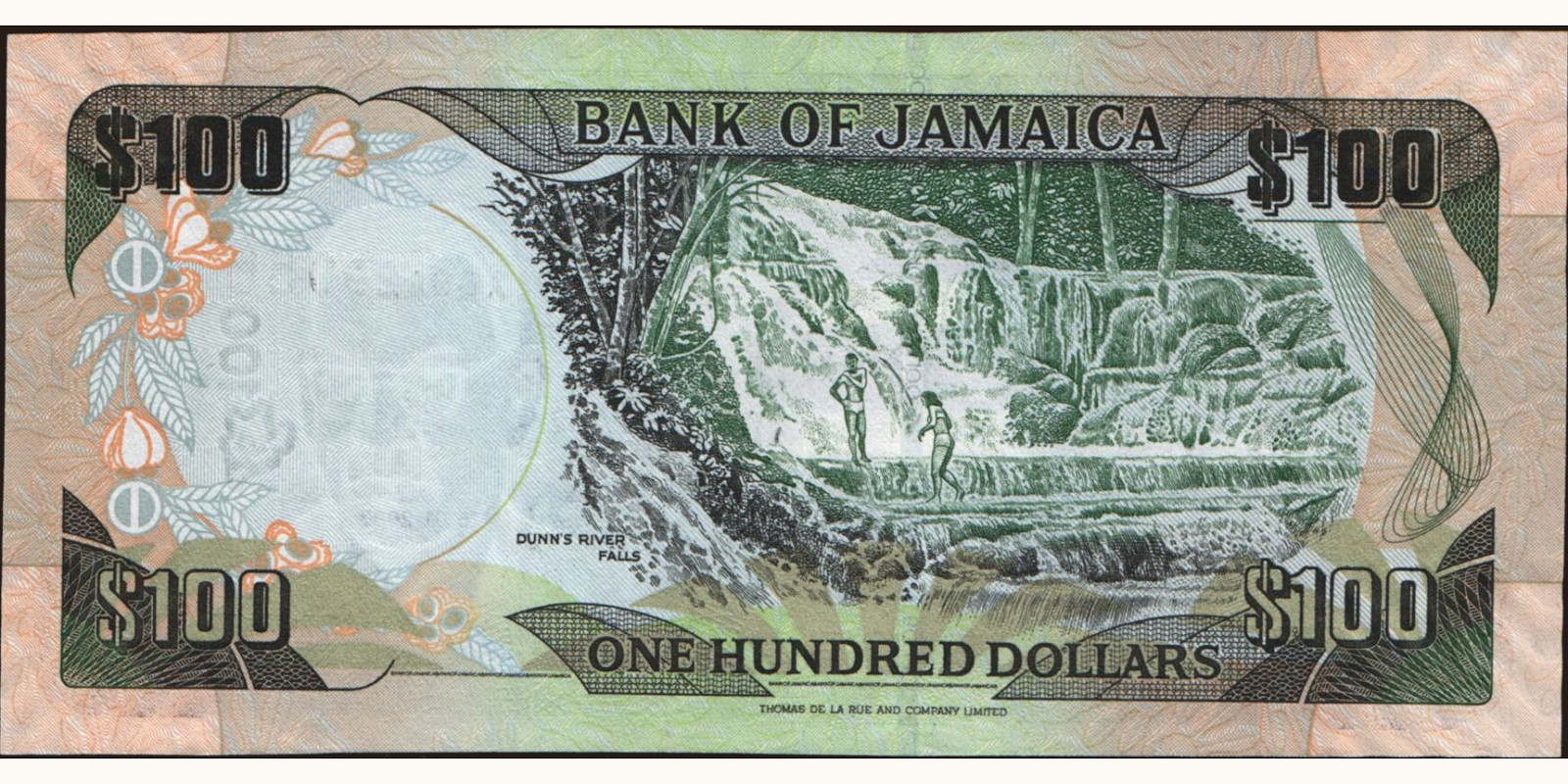 100 dollars Jamaica 2007 — Back side