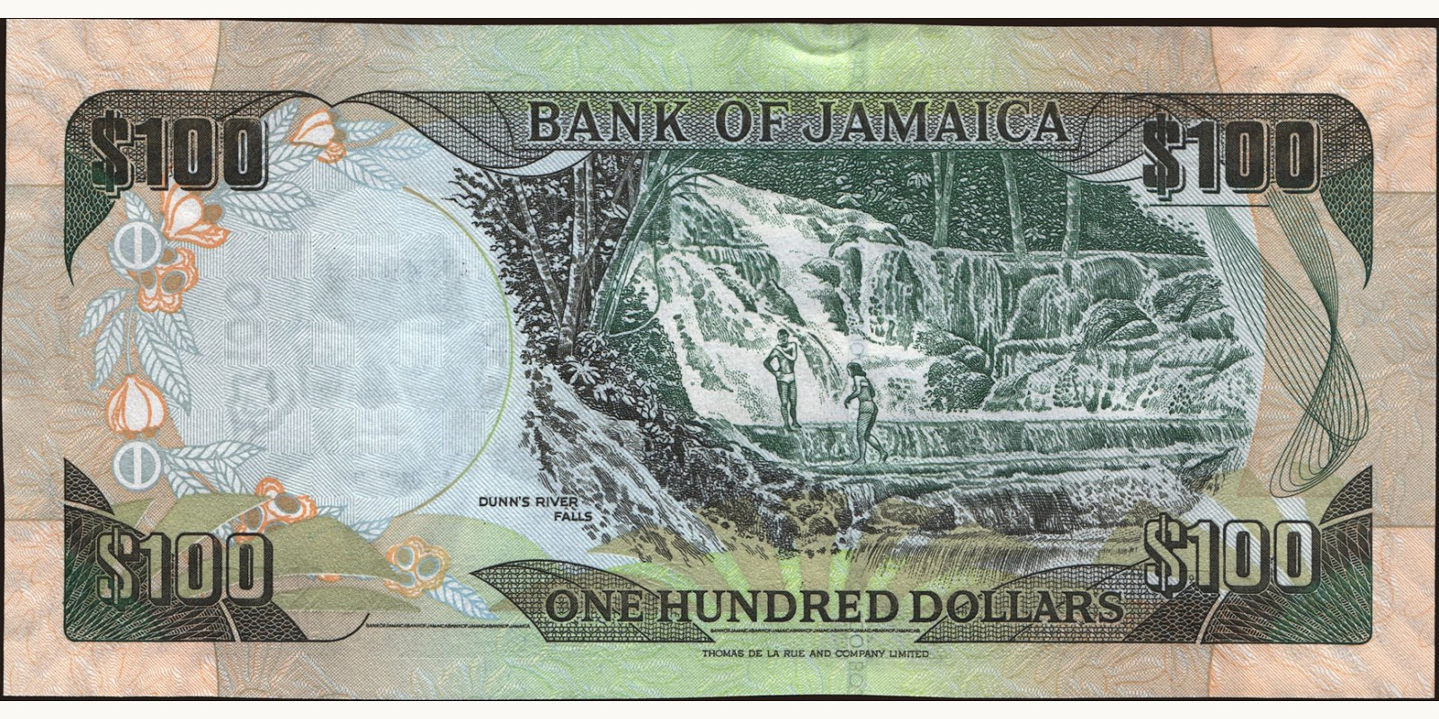 100 dollars Ямайка 2009 — Оборотная сторона