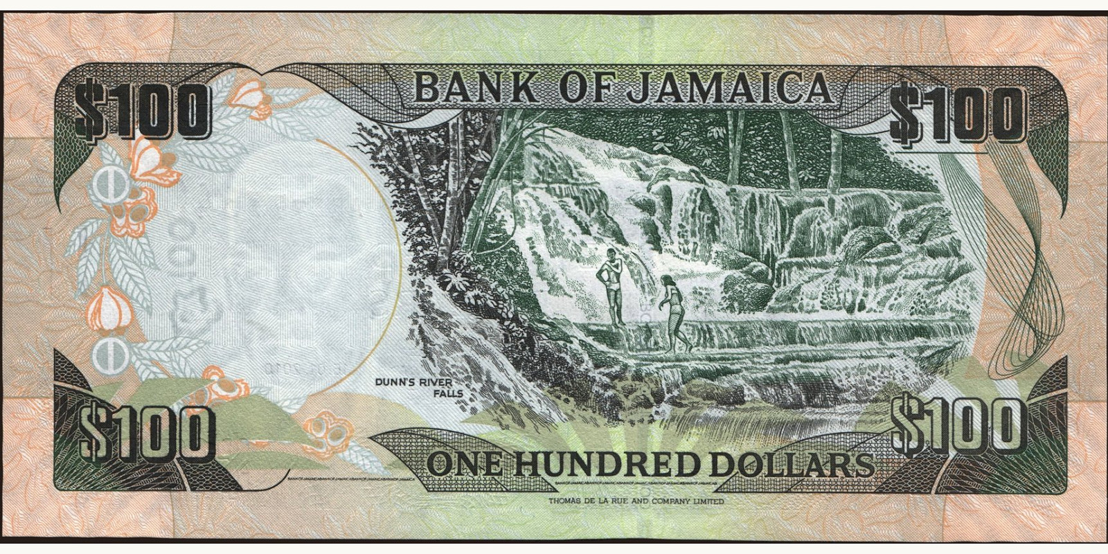 100 dollars Jamaica 2010 — Back side