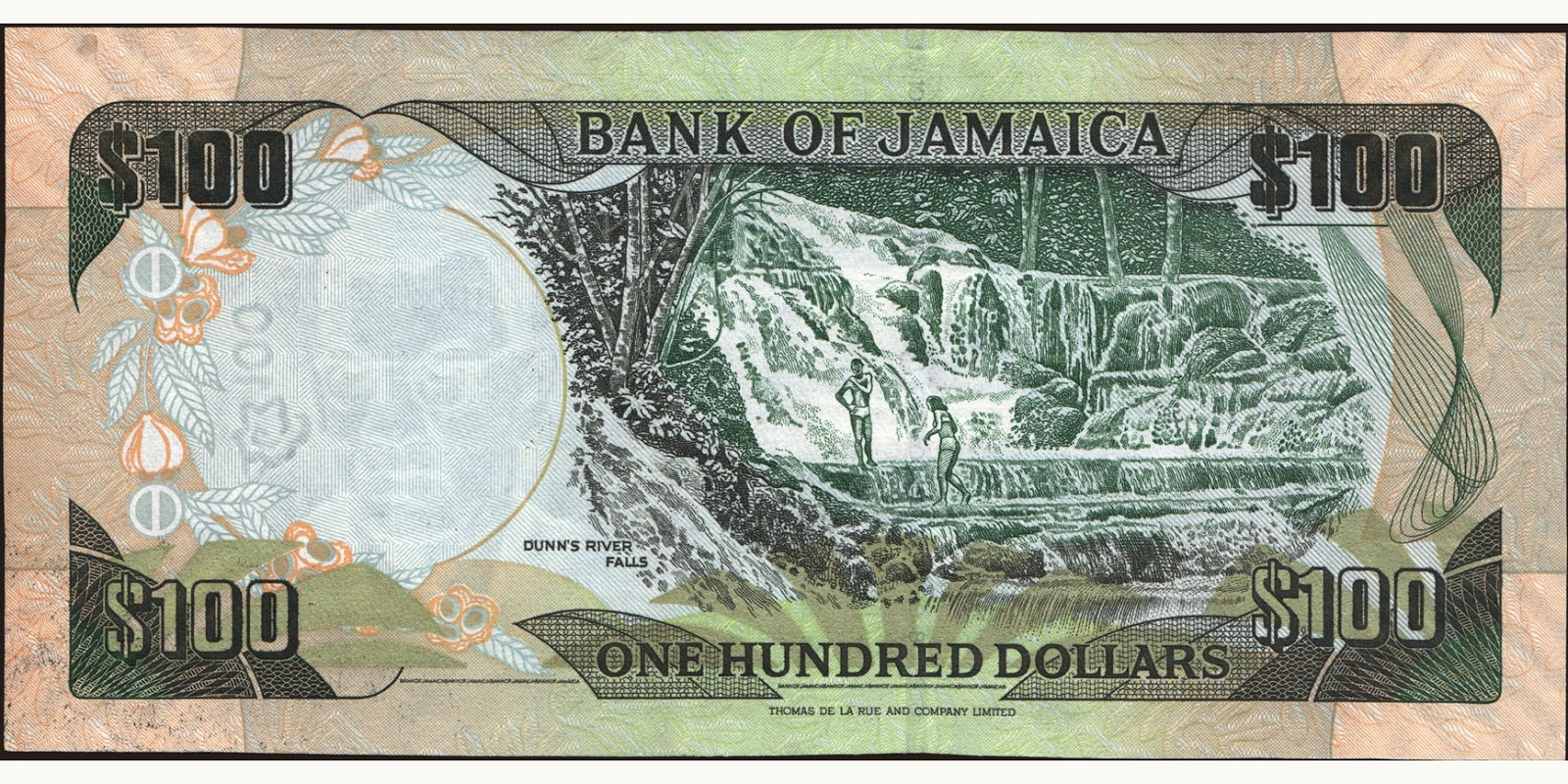 100 dollars Ямайка 2011 — Оборотная сторона