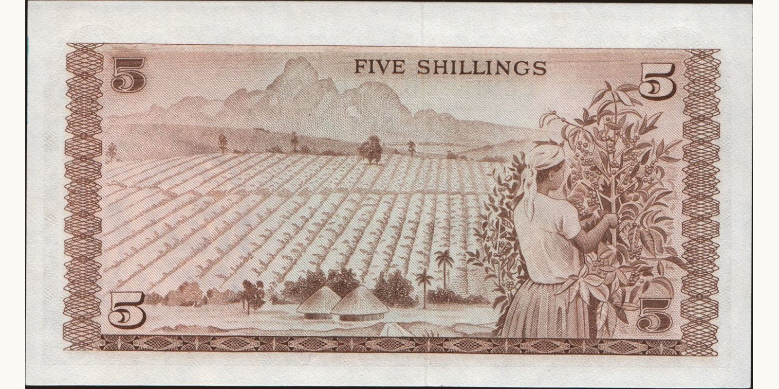 5 shilling Кения 1969 — Оборотная сторона