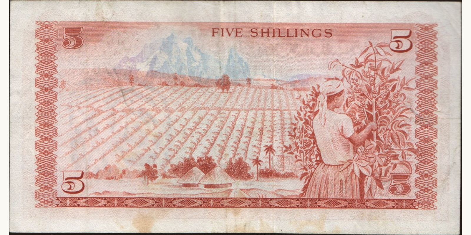 5 shilling Кения 1975 — Оборотная сторона