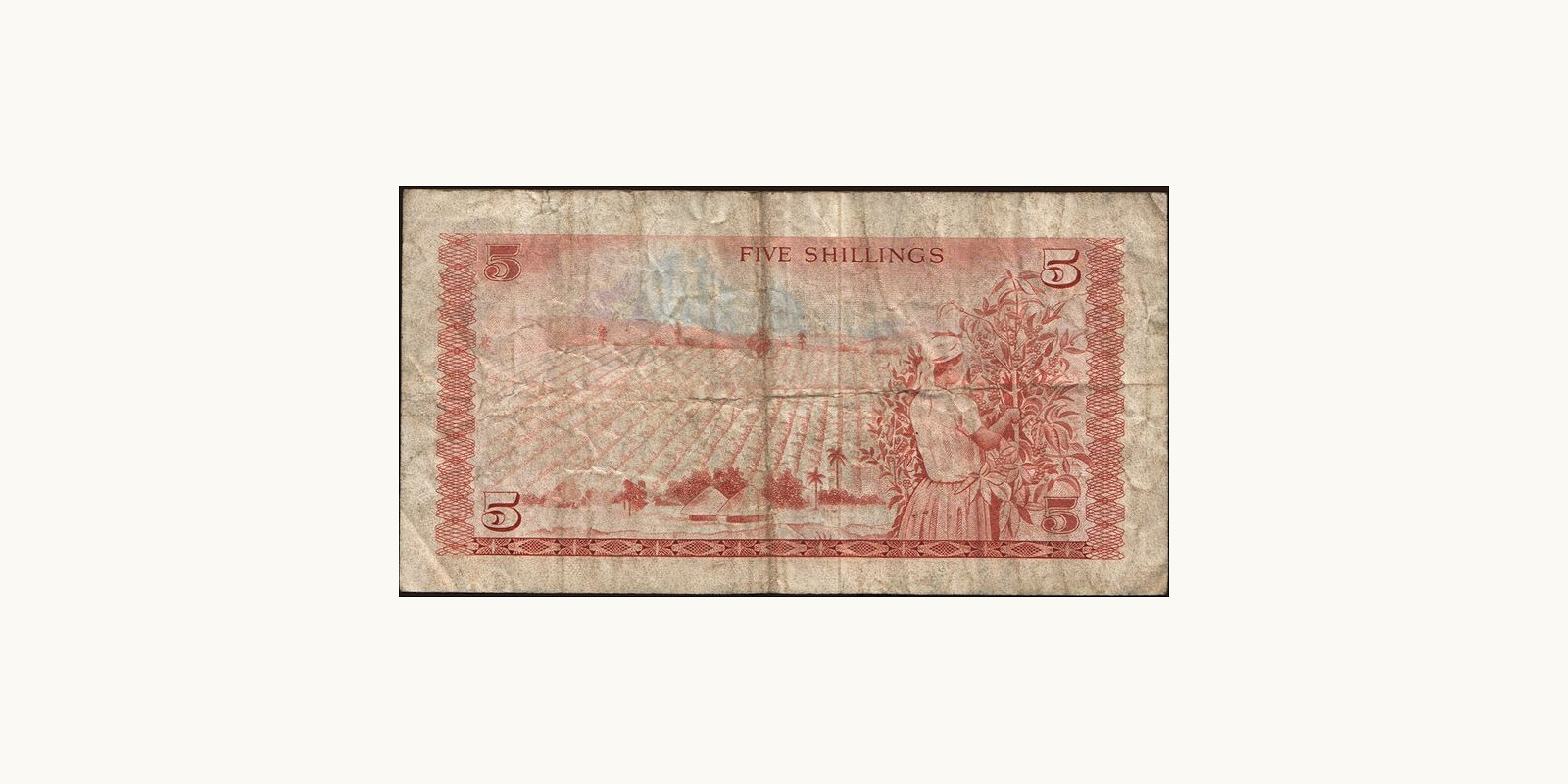 5 shilling Кения 1976 — Оборотная сторона