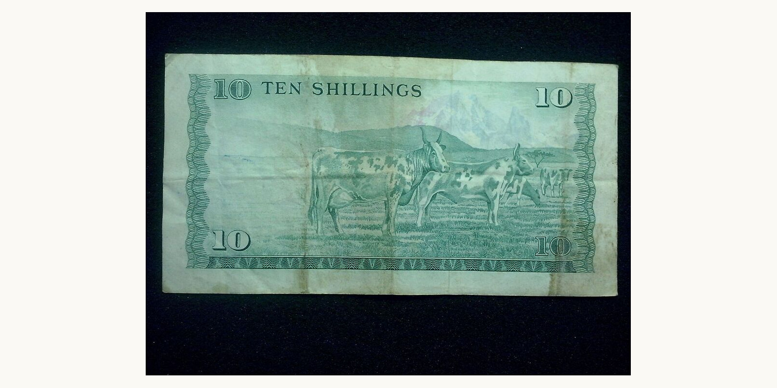10 shillings Кения 1976 — Оборотная сторона