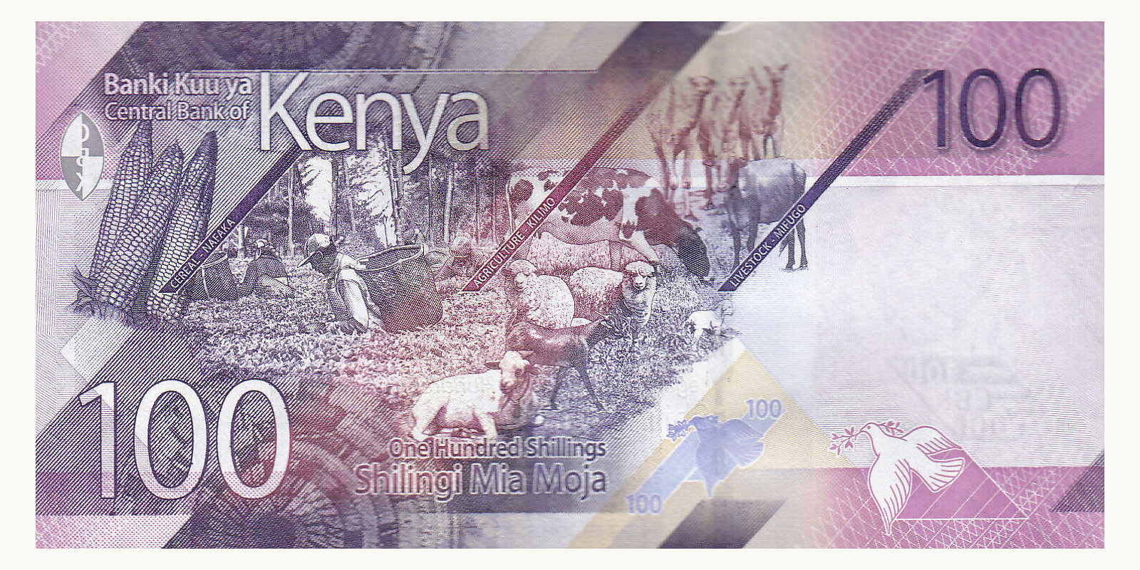 100 shilling Kenya 2019 — Back side