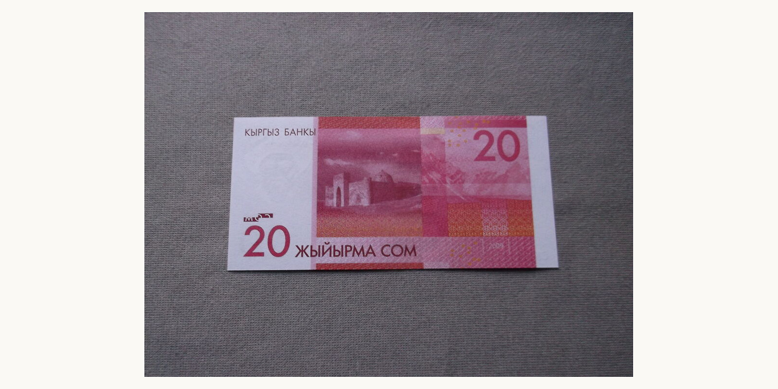 20 som Kyrgyzstan 2009 — Back side