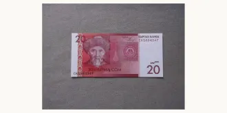 20 som 2009