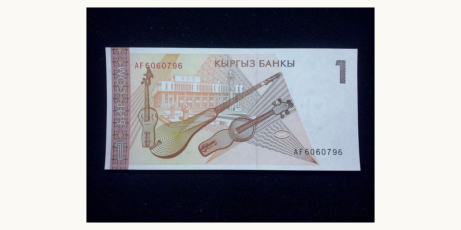 1 som Киргизия 1994 — Оборотная сторона