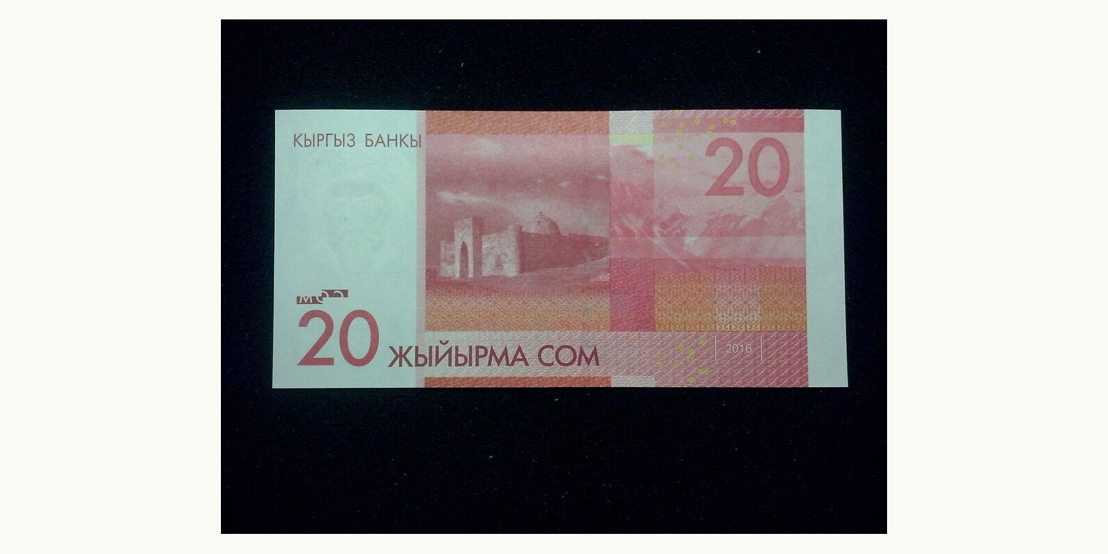20 som Киргизия 2016 — Оборотная сторона