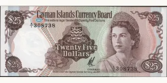 25 dollars 1971
