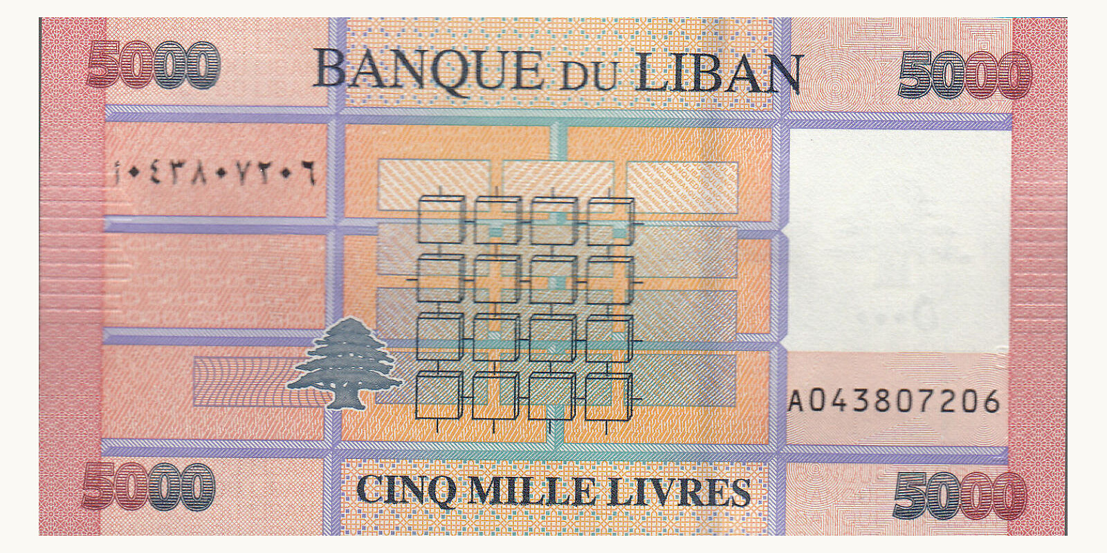 5000 livres Ливан 2021 — Оборотная сторона