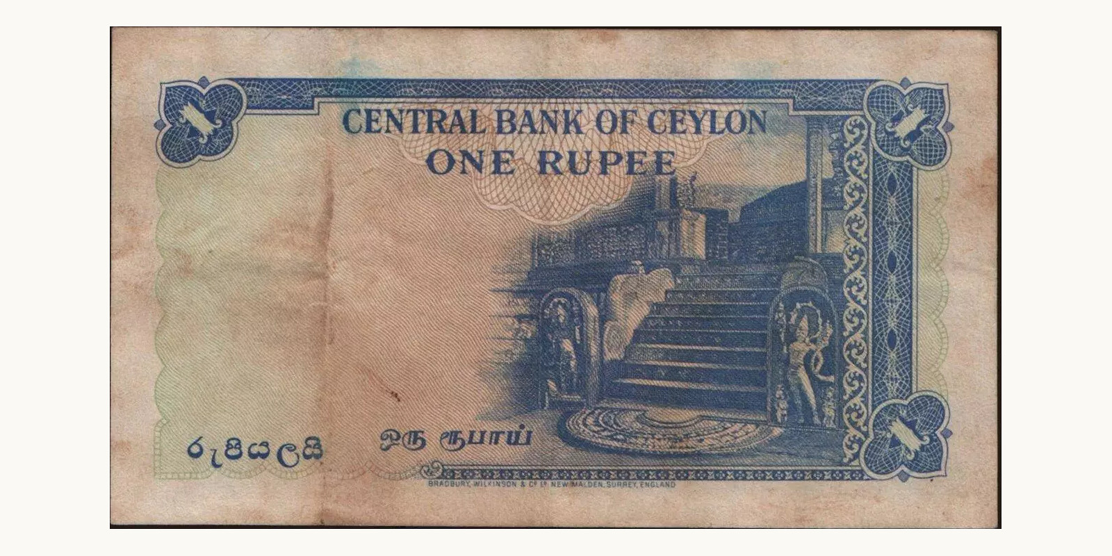 1 rupees Шри-Ланка 1952 — Оборотная сторона