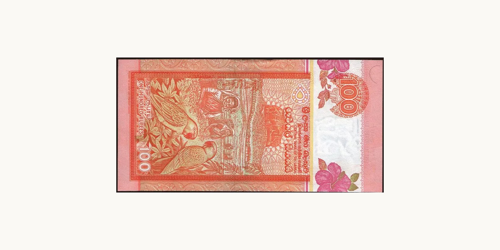 100 rupees Шри-Ланка 2004 — Оборотная сторона