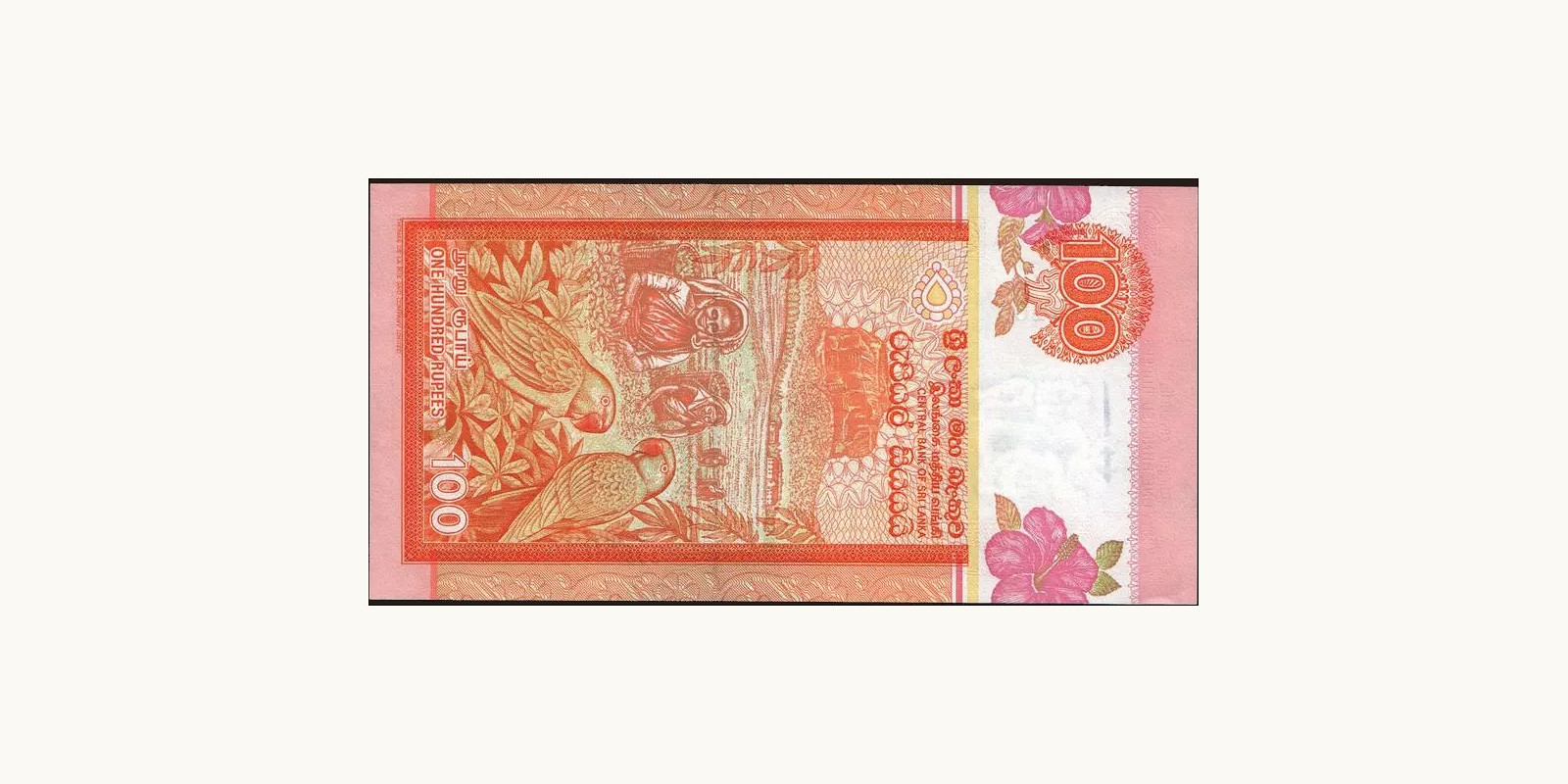 100 rupees Шри-Ланка 2005 — Оборотная сторона