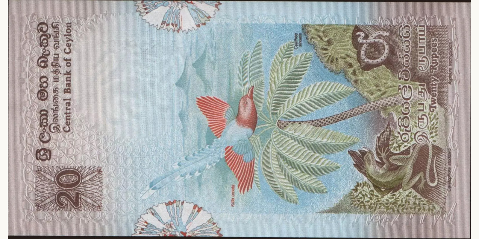 20 rupees Шри-Ланка 1979 — Оборотная сторона