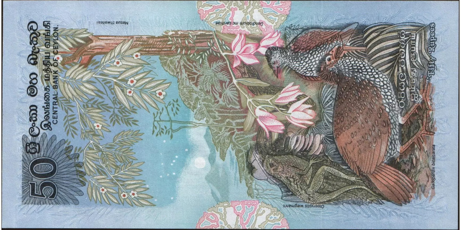 50 rupees Шри-Ланка 1979 — Оборотная сторона