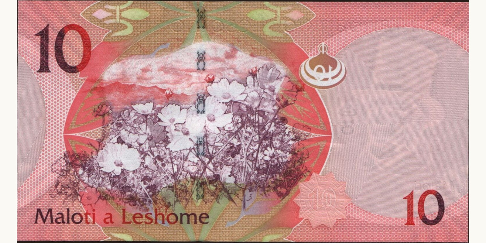 10 maloti Lesotho 2013 — Back side