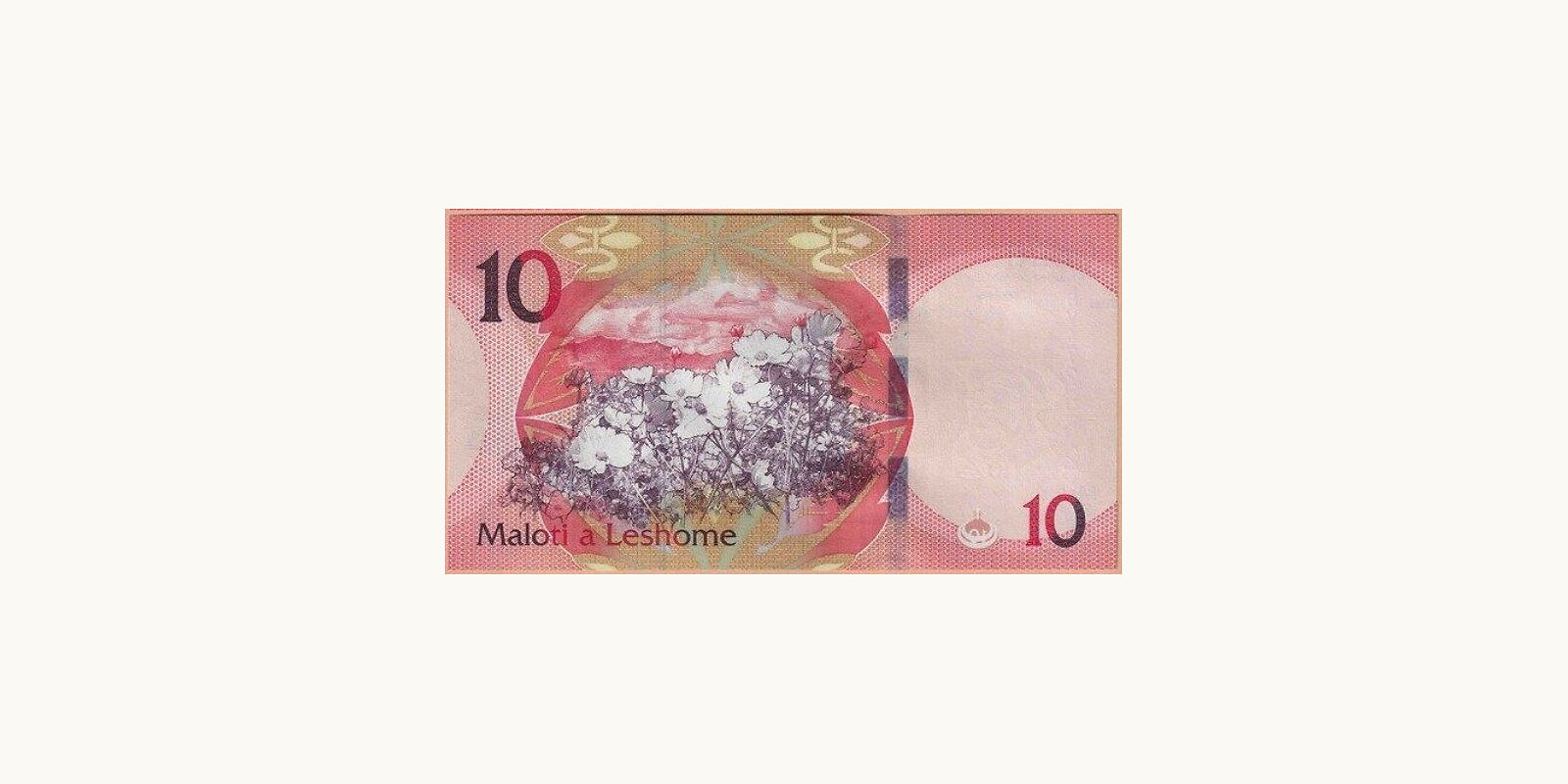 10 maloti Лесото 2024 — Оборотная сторона