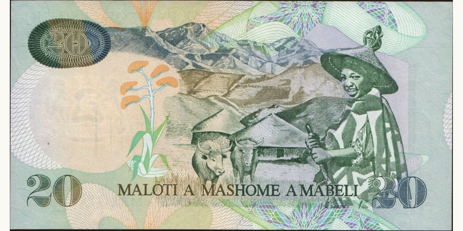 20 maloti Лесото 1999 — Оборотная сторона